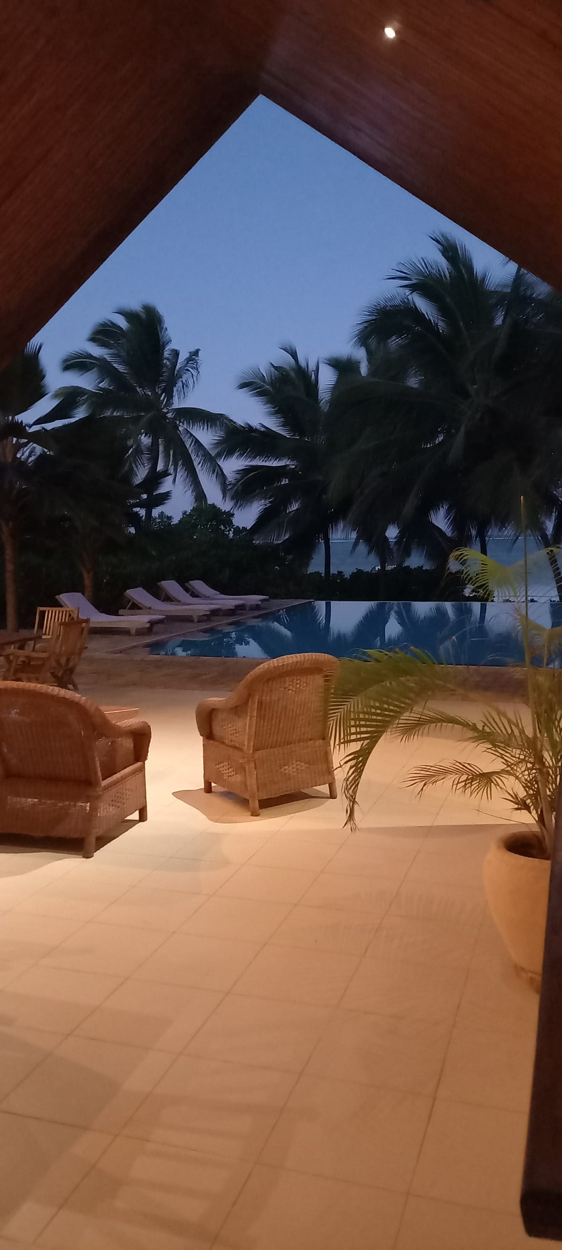 Dusk view from pavilion — pool and palm silhouettes against blue sky